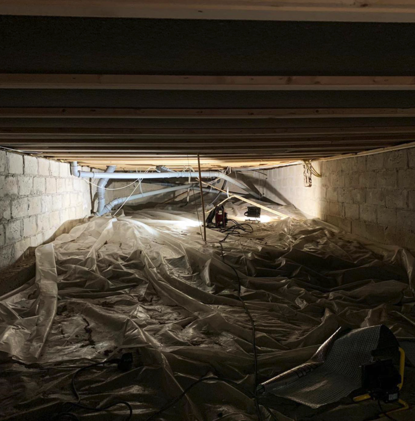 mogelsanering nacka stockholm